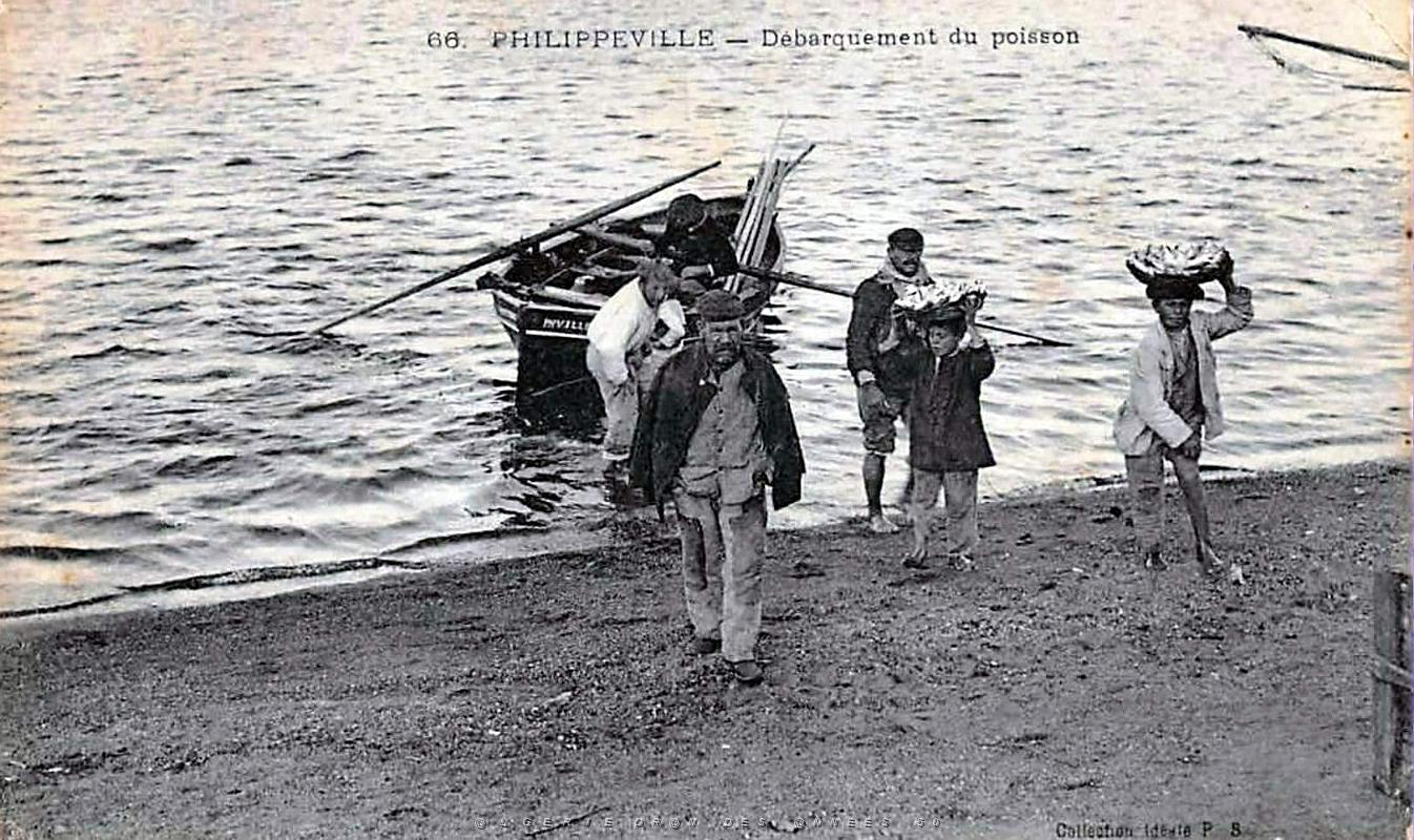 1146- Philippeville - Debarquement du poisson.jpg